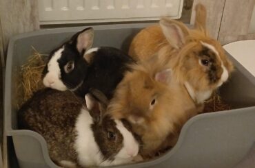 always at the loo together🤷‍♀️