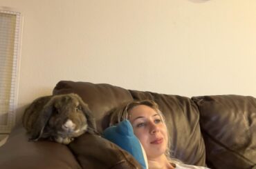 this spot actually does look kinda cozy