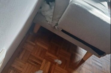 i don't remember asking for a home renovation👀