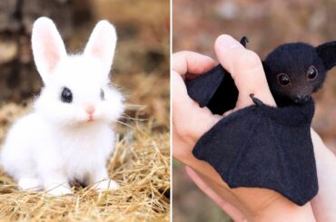 Cute Baby Animals Videos Compilation | Funny and Cute Moment of the Animals #10