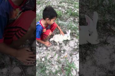 #cute #cutebaby #cuterabbit #diy #funny #rabbit #relaxing #viral #animals #animal