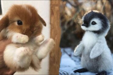 AWW Animals SOO Cute! Cute baby animals Videos Compilation cute moment of the animals #3