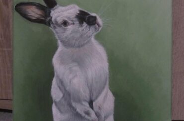 I’m a pet artist - here’s my latest painting ,thought it belonged here ! 🐰