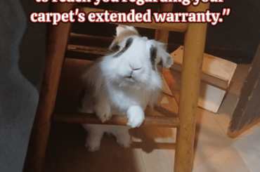 It's a protection racket!