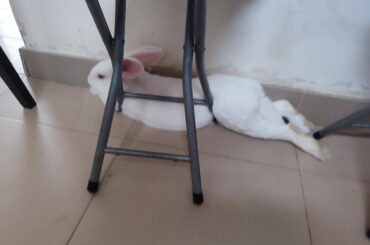 Ahhh, this is the spot for bun