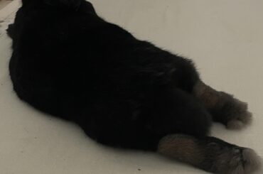 Comfortable for the night.