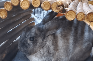 Loafing under the bridge