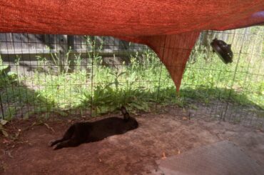 Buddy's idea of roughing it