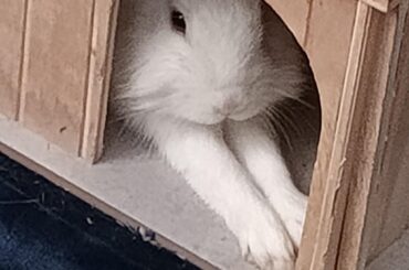 He loves to sit like this