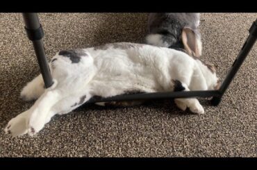 Feet in the air and just don’t care.