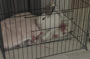 How is she comfy like this😂