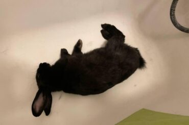 Bon-Bon is a water fairy