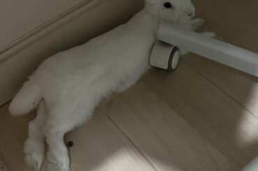 just why? theres plenty of space 😭