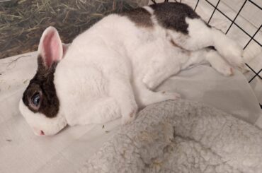 Are you relaxed or...?