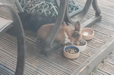 this is how he likes to eat