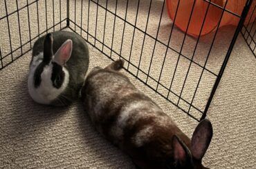 It’s important to have variety in your bread