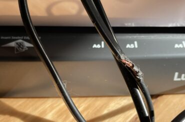 Our non-spicy hay eating bun…