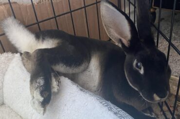 Sorry I keep posting but this is just getting ridiculous!