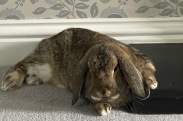 A few too many drinks at the bar….