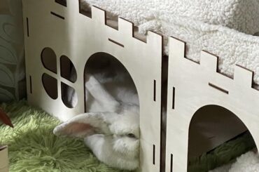 This looks comfy 😆