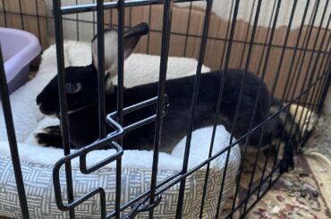 Not sure how she’s enjoying herself