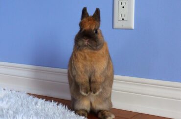 Are You Looking For Me?!