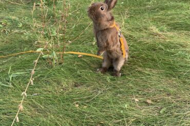 Sniffing the plant :))