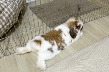 Nailed it! Living my best life