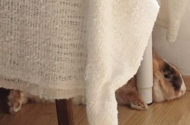 favourite sleeping position? the headlock