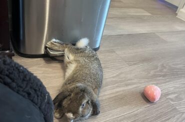 kickin back with her feeties up