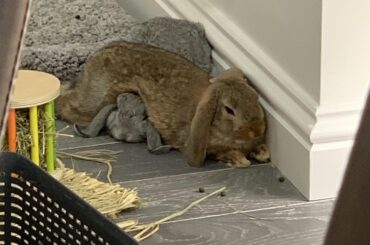 Throwback buncomfortable