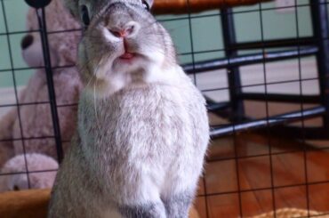 Cheese! Aren't I Cute?!