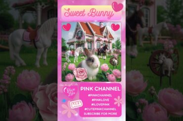 Cute Bunny | Flowers Field Horses | PINK CHANNEL #pinkchannel #bunny #cutebunny #cute #horses #short