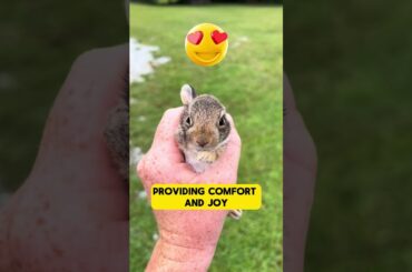 worker found a lost baby rabbit #animalrescue  #babyrabbit  #wildliferehabilitation