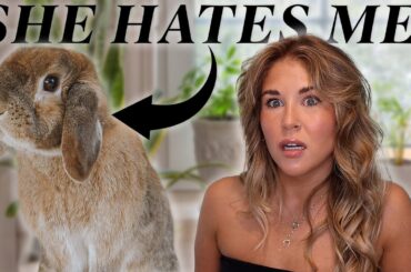 How to Get Your Rabbit to Love You Again!