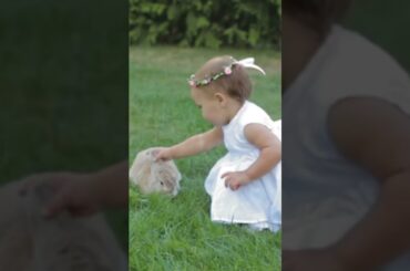 rabbit cute baby #rabbit #cute #baby