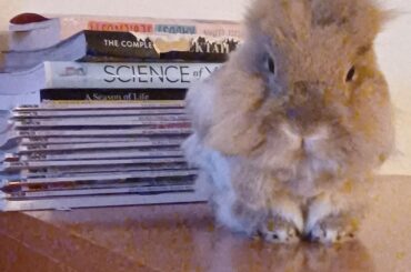 not an ounce of remorse behind those eyes🥲