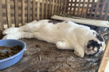 Gave me a heart attack