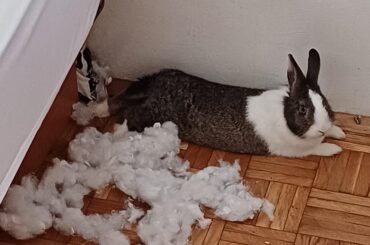 i wonder who did it😃🤔