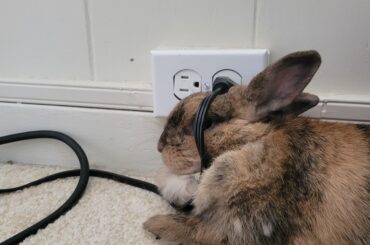 This feels like a Threat