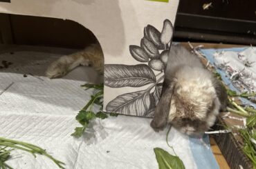 Whatever works works I guess XD