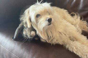 the perfect spot is to lay under the Giant Hair
