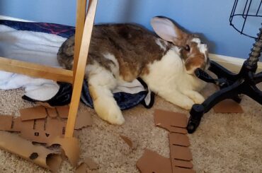 Apparently metal makes a nice pillow?