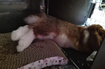 Is that comfortable?