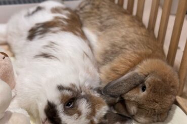 This is what peak relaxation looks like