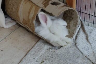 The peaceful sleep of that one who just recovered from illness