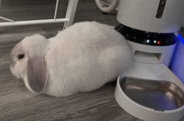 does this count as buncomfortable?
