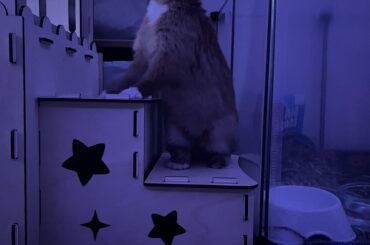 She’s so interested in the tv