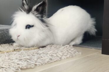 Not a stretch, he stayed like this quite a while.. dude.. 👀