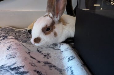 Yeah I don't know either.